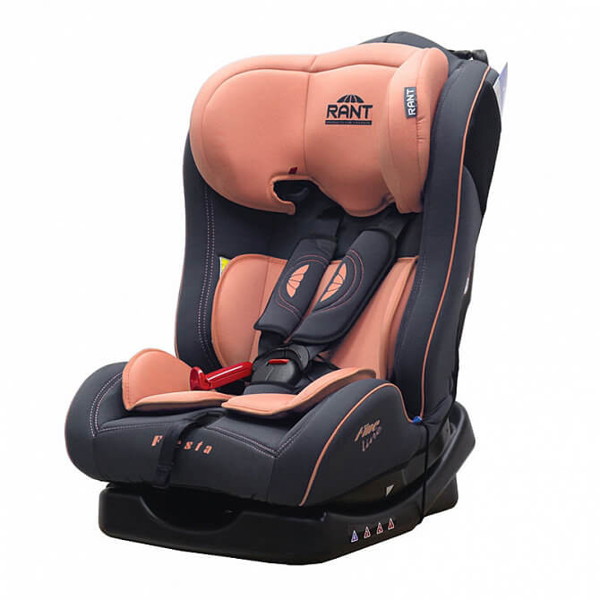 Rant Fiesta - Orange/оранжевый