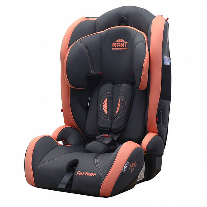 Rant Fortune - Orange/оранжевый