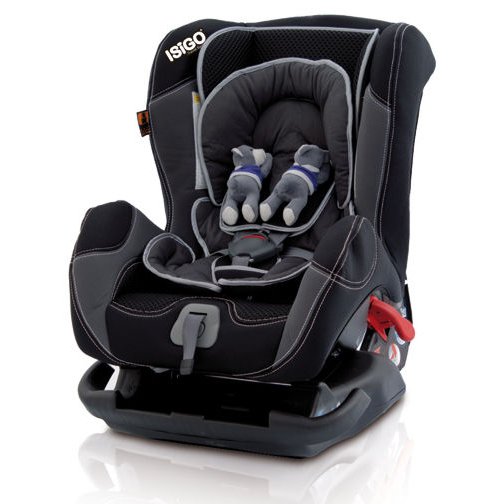 ISIGO Hercules - Black Bears