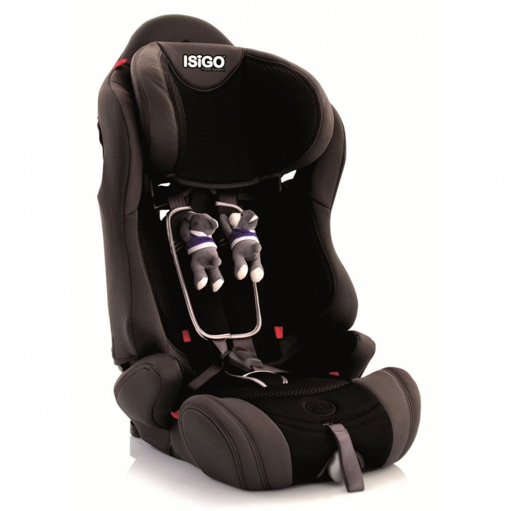ISIGO Odisseo Isofix - Black Bears